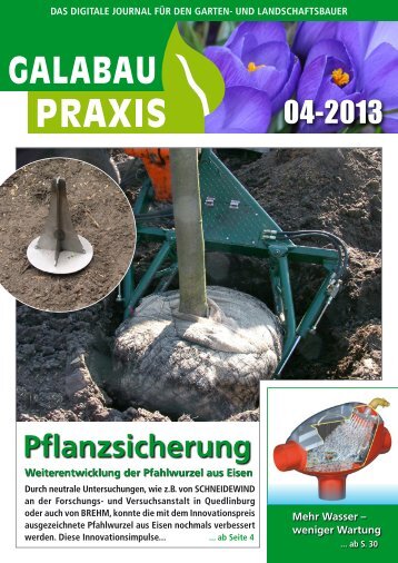 GALABAU PRAXIS 04 2013