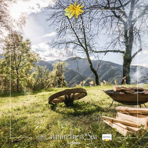 Wellnessfibel 2020 IT