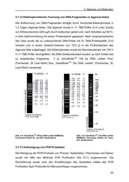 charakterisierung von organellen und signalwegen des thrombozyten