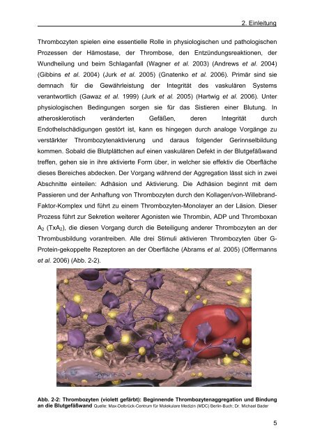 charakterisierung von organellen und signalwegen des thrombozyten