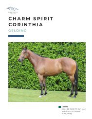 Lot 173 Charm Spirit - Corinthia gelding eBook