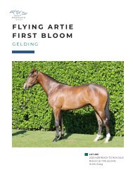 Lot 205 Flying Artie - First Bloom Gelding eBook