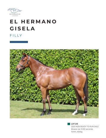 Lot 213 El Hermano - Gisela Filly eBook