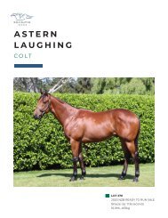 Lot 270 Astern - Laughing colt eBook