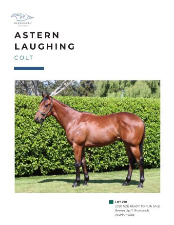 Lot 270 Astern - Laughing colt eBook