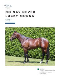 Lot 275 No Nay Never - Lucky Morna colt eBook
