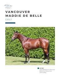 Lot 283 Vancouver - Maddie de Belle colt eBook
