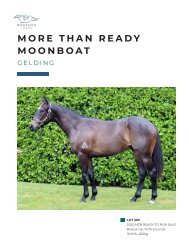 Lot 303 More Than Ready - Moonboat Gelding eBook