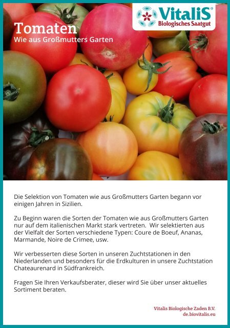 Tomaten Wie aus Großmutters Garten