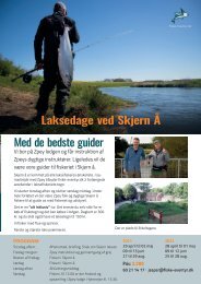 Fiskerejser til Skjern Å 2021 og 2022