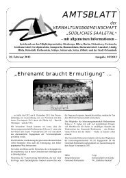 AMTSBLATT - VGem. Südliches Saaletal