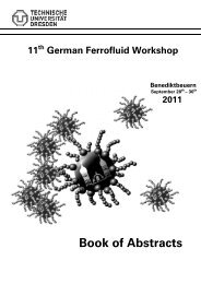 German Ferrofluid Workshop Benediktbeuern, 28.9. - mfd.mw.tu ...