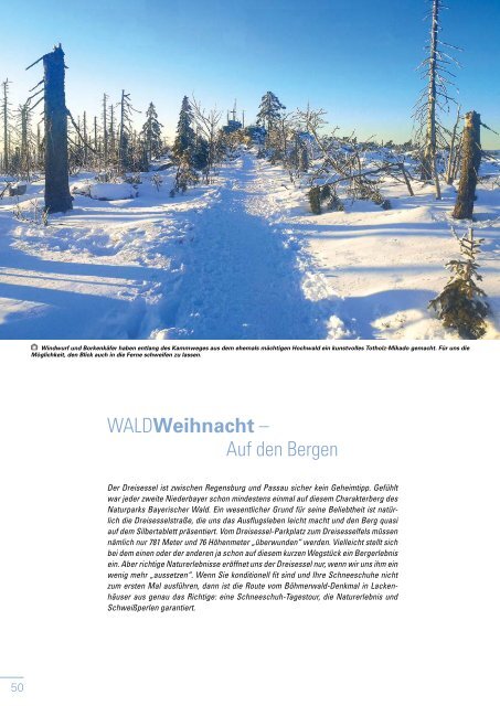 Waldgeist Winter 2020