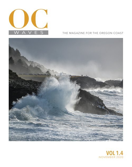 Oregon Coast Waves - 1.4 November 2020