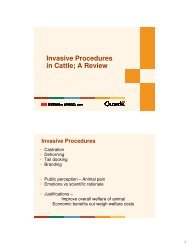 Invasive Procedures in Cattle; A Review - ETCO