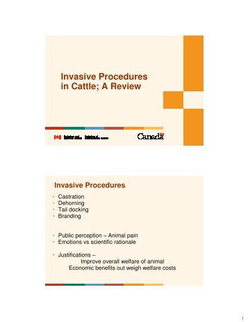 Invasive Procedures in Cattle; A Review - ETCO