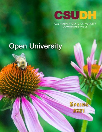 Spring 2021 Open University Schedule (Interactive)
