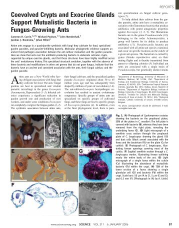 Coevolved Crypts and Exocrine Glands Support Mutualistic Bacteria ...