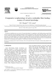 Comparative ecophysiology of active zoobenthic filter feeding ...