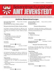 [PDF] Dokument ansehen - Amt Jevenstedt