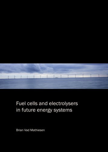 Fuel cells and electrolysers in future energy systems - VBN