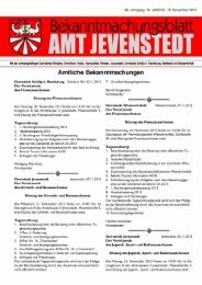 PDF] Dokument ansehen - Amt Jevenstedt