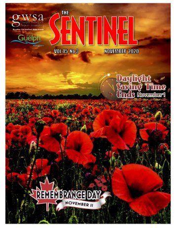 November 2020 issue