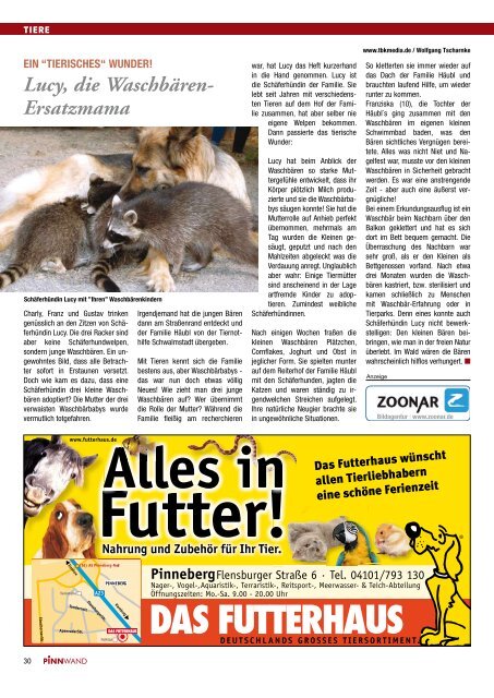 als PDF herunterladen - PINNWAND - Magazin