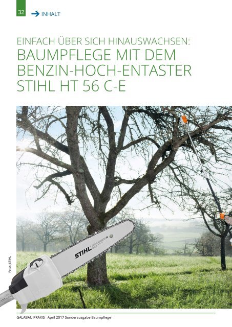 GP-Sonderausgabe-Baumpflege 2017