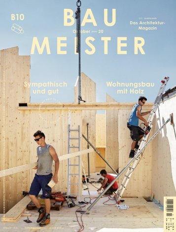 Baumeister 10/2020