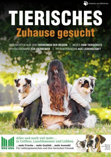 Tierisches Zuhause gesucht 2020