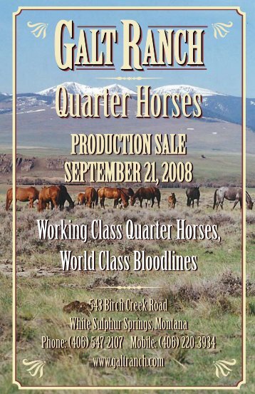 Quarter horses - Galt Ranch