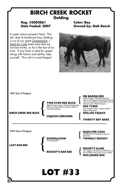 Quarter horses - Galt Ranch