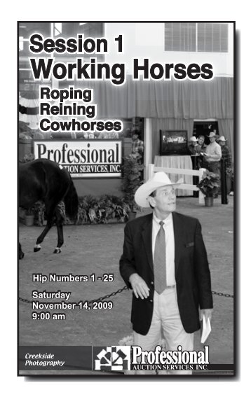 Roping Reining Cowhorses Session 1 Working Horses Professional