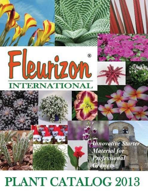 Here - Fleurizon.com