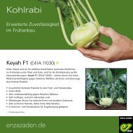 Leaflet Kohlrabi Keyah 2020