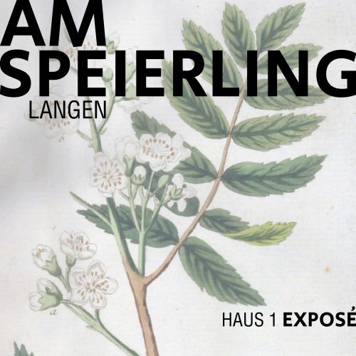 Exposé Langen Haus 1