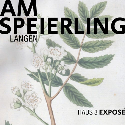 Exposé Langen Haus 3