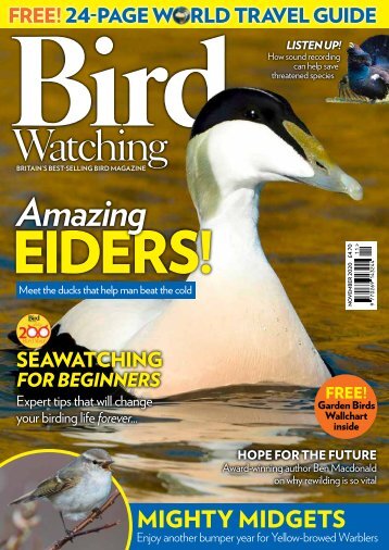 Bird Watching Nov 20 mini-mag