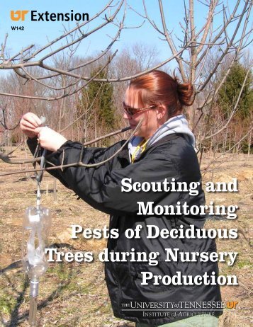 Scouting and Monitoring Pests of Deciduous Trees during