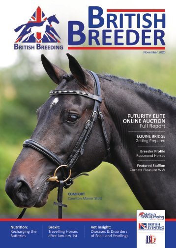 British Breeder - November 2020