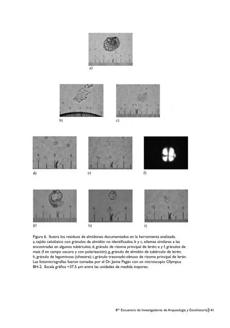 8vo Encuentro de Investigadores de Arqueologia y Etnohistoria