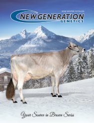 NGG Dec 2020 Catalog