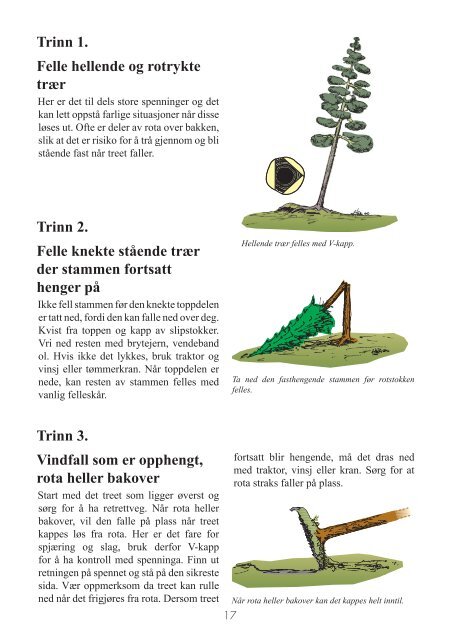 Riktig og sikker hogst - Fellesforbundet