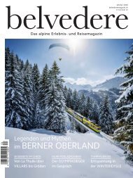 belvedere Winter 2020