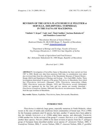 REVISION OF THE GENUS PLATYCHEIRUS LE PELETIER et ...