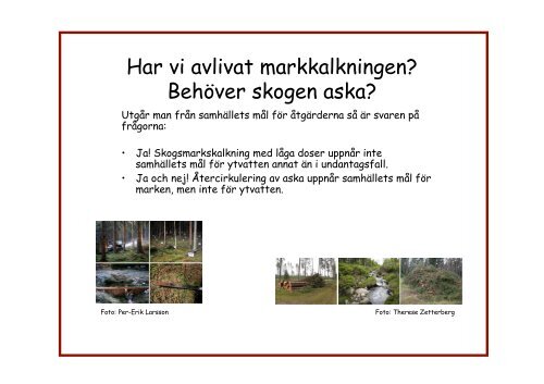 Har vi avlivat markkalkningen? Behöver skogen aska?