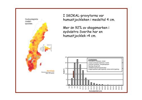 Har vi avlivat markkalkningen? Behöver skogen aska?