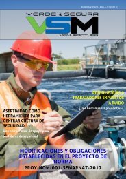 Edición 13. Diciembre 2020. Revista Verde & Segura Manufactura.