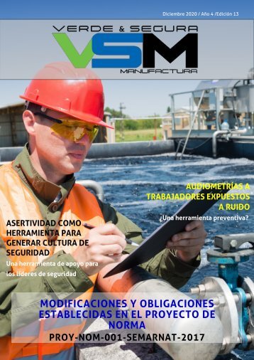 Edición 13. Diciembre 2020. Revista Verde & Segura Manufactura.
